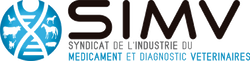 simv logo jsm informatique infogérance